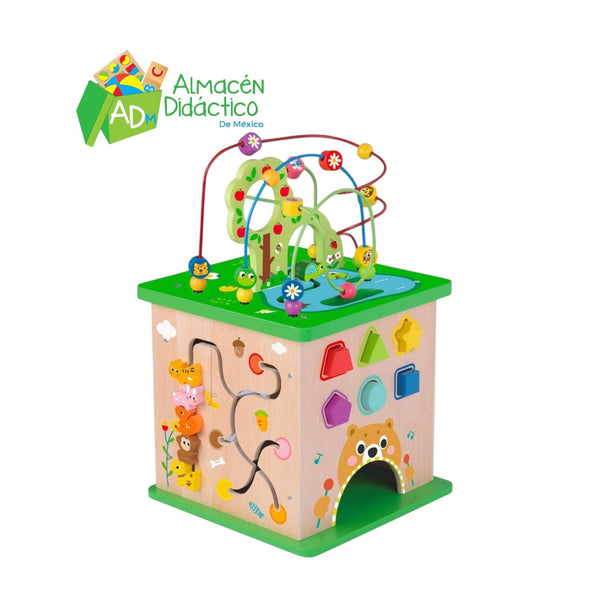 CUBO DE ACTIVIDADES DEL BOSQUE
