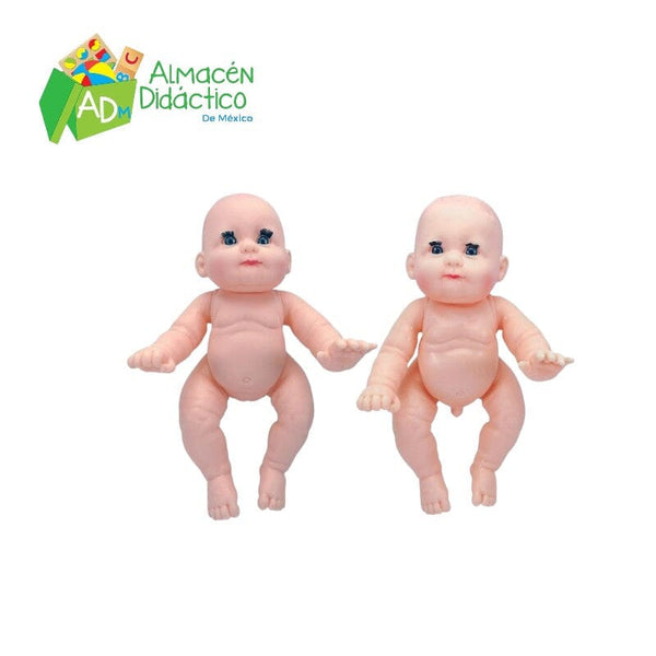 MUÑECOS DIDACTICOS SEXUADOS