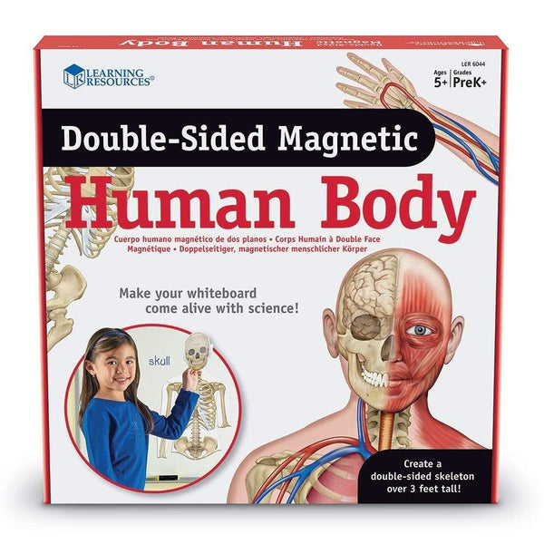 HUMAN BODY DOUBLE SIDED MAGNETIC - CUERPO HUMANO MAGNETICO DOBLE CARA