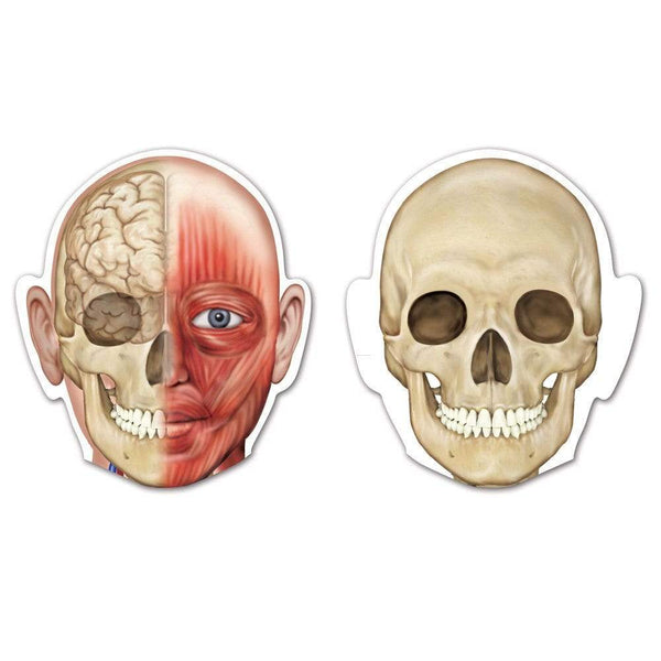 HUMAN BODY DOUBLE SIDED MAGNETIC - CUERPO HUMANO MAGNETICO DOBLE CARA